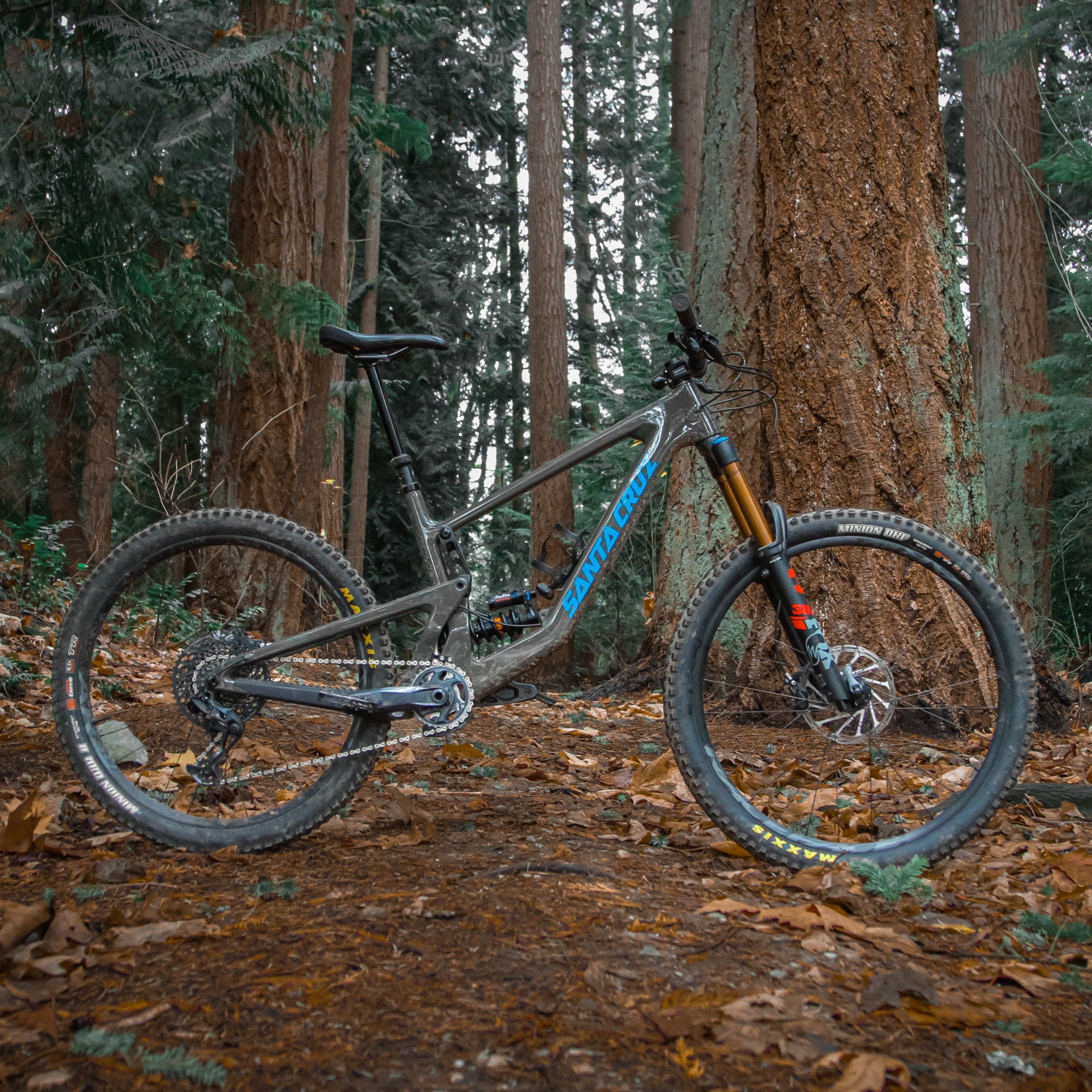 Santa cruz hot sale bikes europe